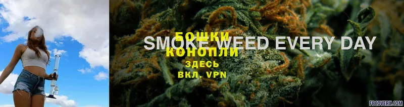 Конопля White Widow  Абаза 